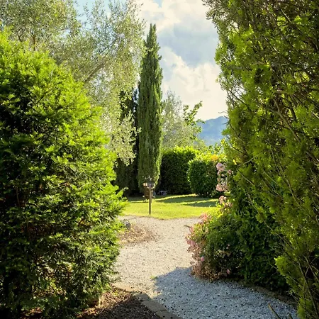 Charming In The Hills Surrounding La Spezia Casa de Férias Bolano